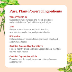 Comprimés de PURE SYNERGY Vita·Min·Herb dans une main