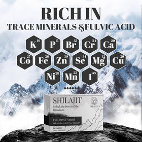 Comprimés de Shilajit ORBILIVE, détail de la texture
