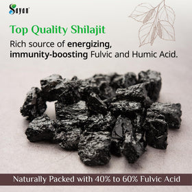 Comprimés de Shilajit Sayan, détail de la boîte
