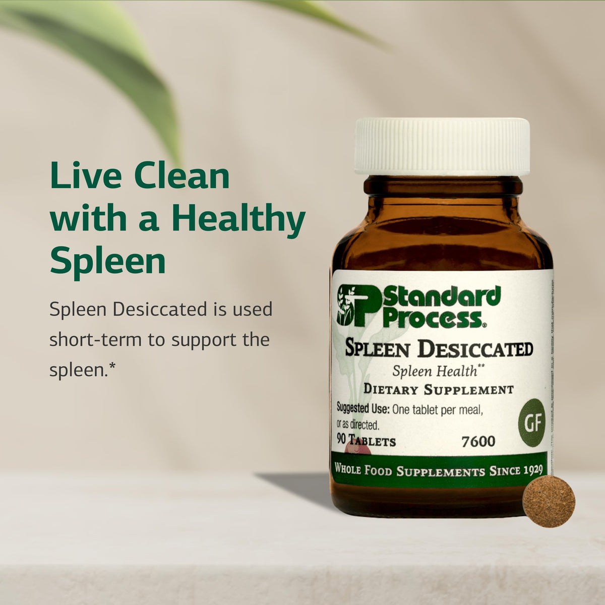 Comprimés de Spleen Desséché Standard Process sur une surface blanche