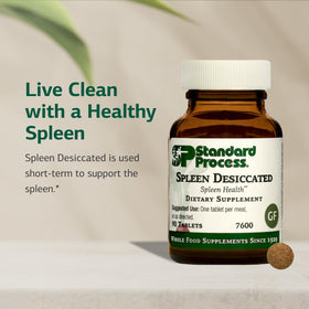 Comprimés de Spleen Desséché Standard Process sur une surface blanche