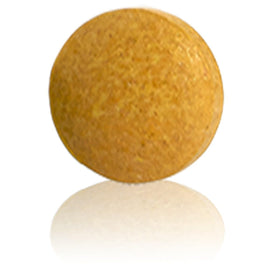 Comprimés de Turmeric Forte Standard Process Inc. sur fond blanc