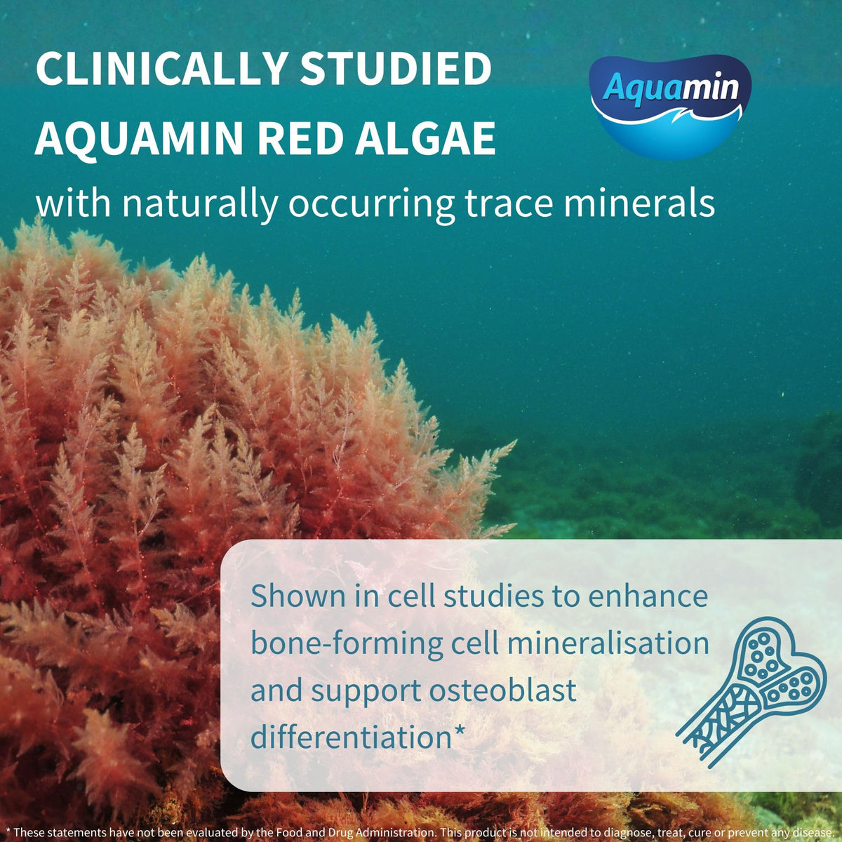Comprimés Igennus Calcium Magnésium sur une surface blanche