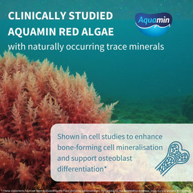Comprimés Igennus Calcium Magnésium sur une surface blanche