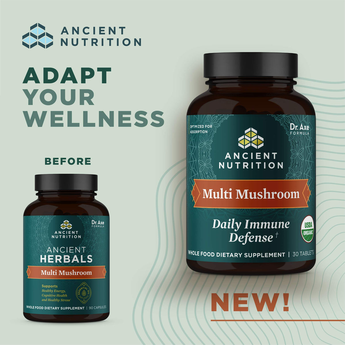 Comprimés Multi Champignon d'Ancient Nutrition sur une table