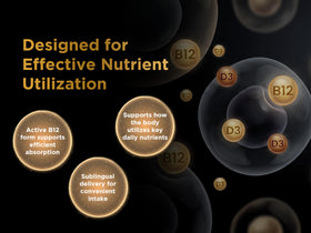 Comprimés sublinguales Nutri Apex avec dosette à côté