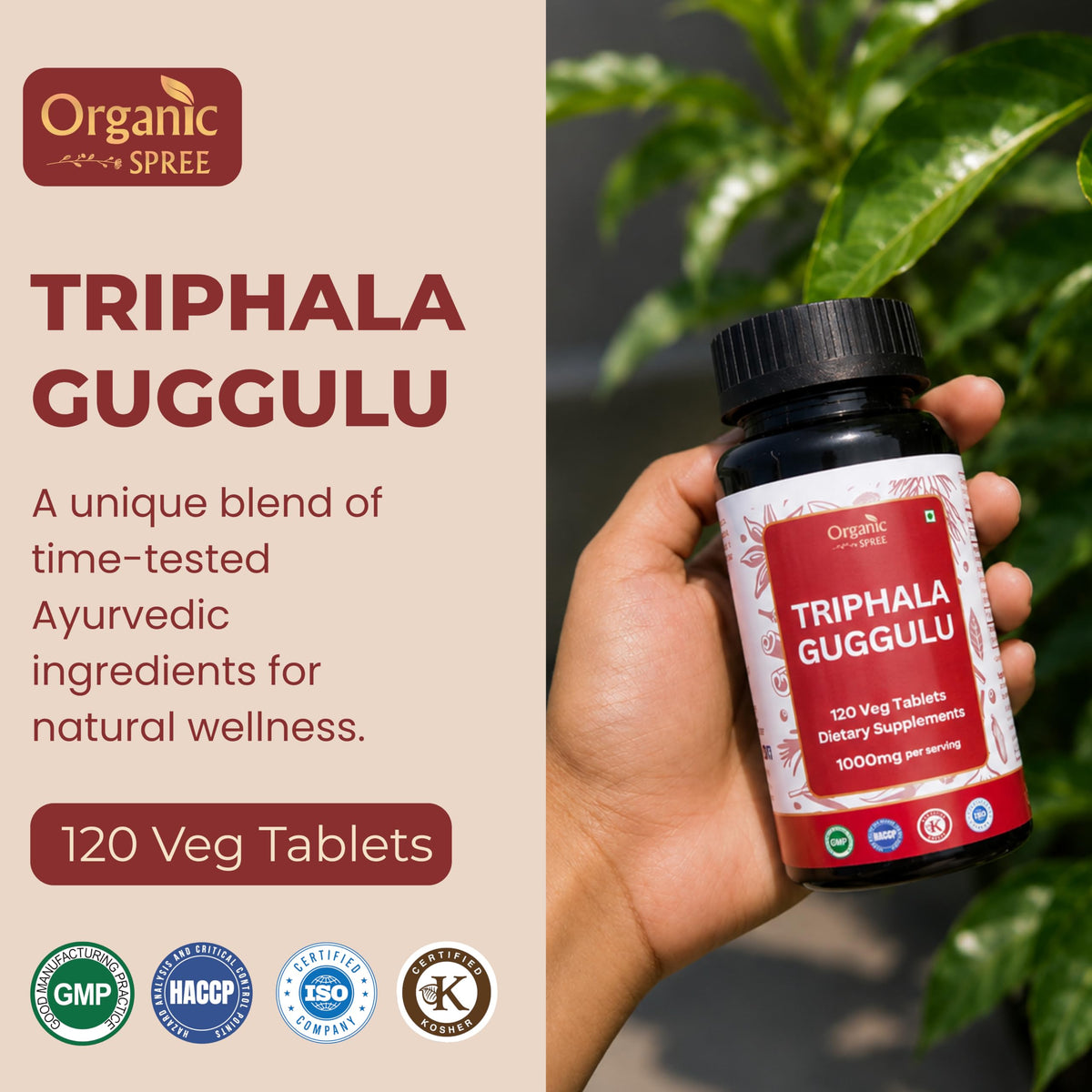 Comprimés Triphala Guggulu ORGANIC SPREE côté étiquette