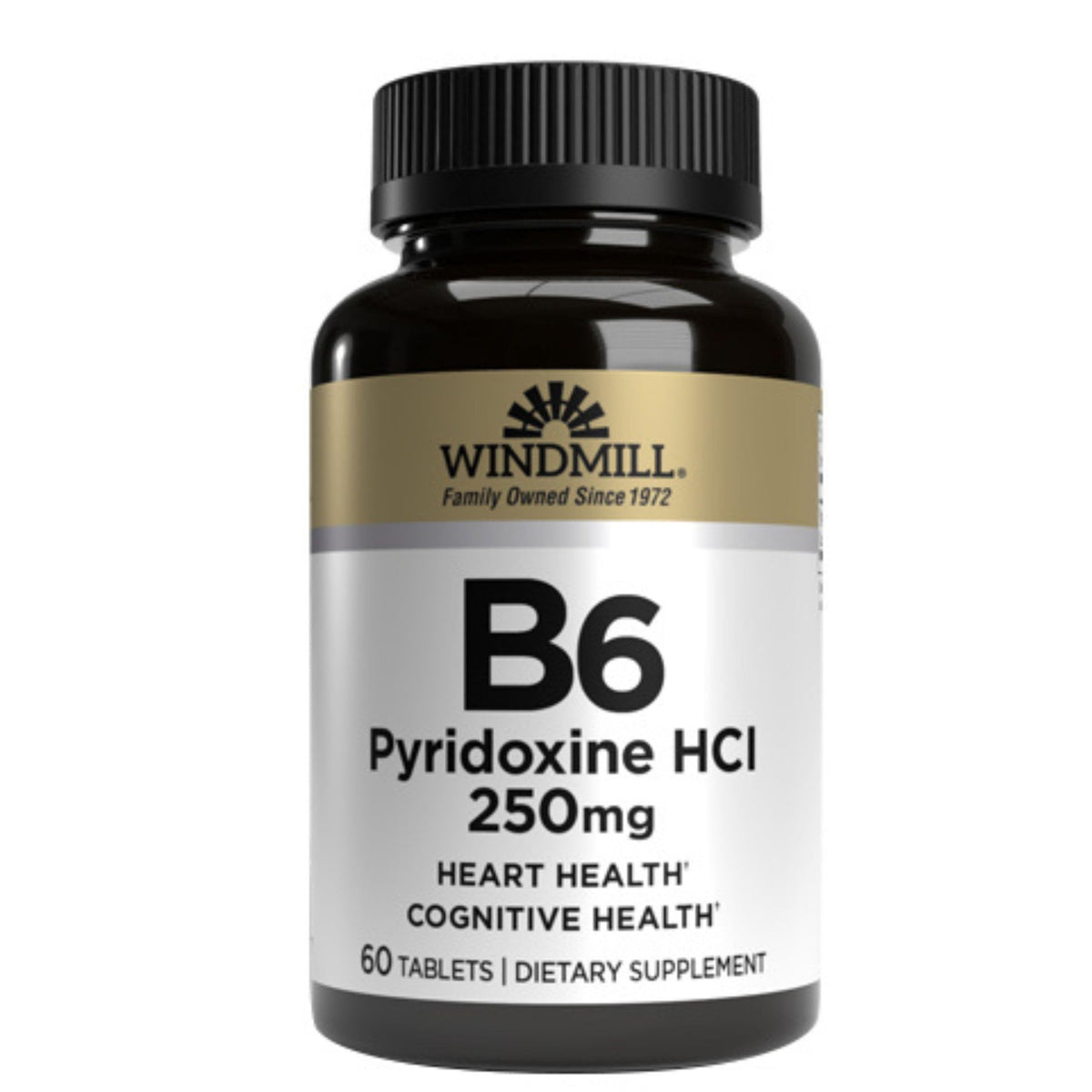 Comprimés Windmill Vitamine B-6 250 mg dans une main