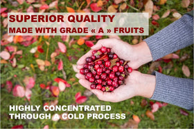 Concentré de canneberge et sureau daily wellness sur un fond de fruits