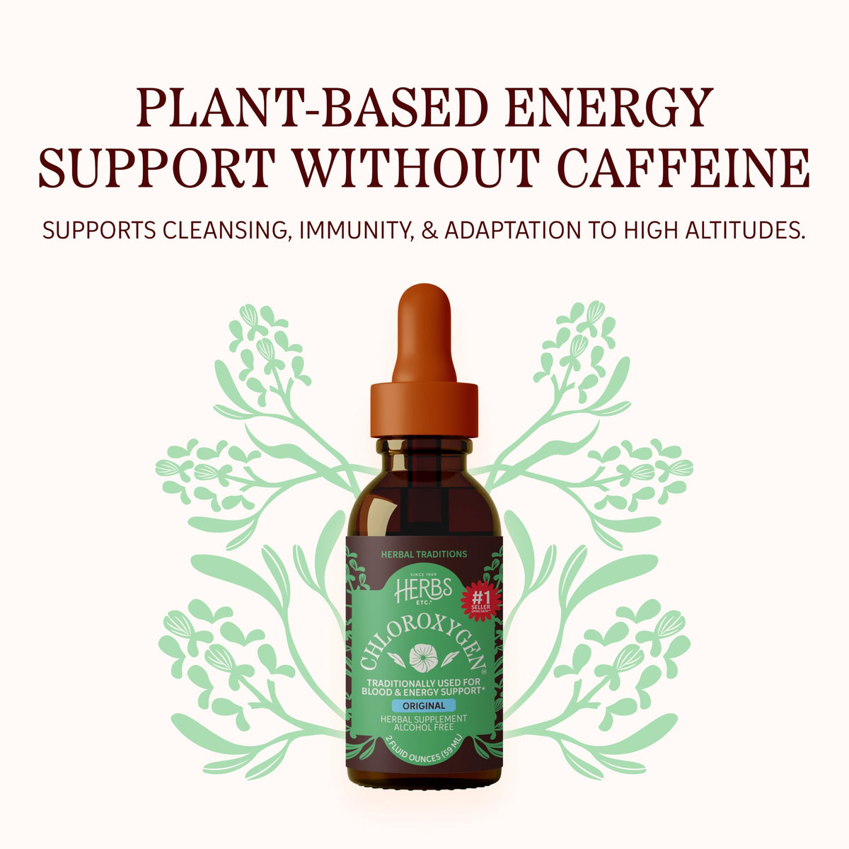 Concentré de chlorophylle Herbs Etc. 60ml avec gouttes à mélanger