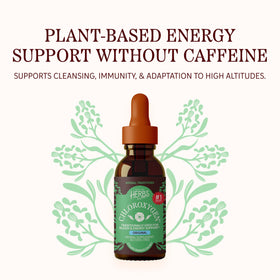 Concentré de chlorophylle Herbs Etc. 60ml avec gouttes à mélanger