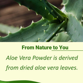 Contenant refermable de poudre d'Aloe Vera minature