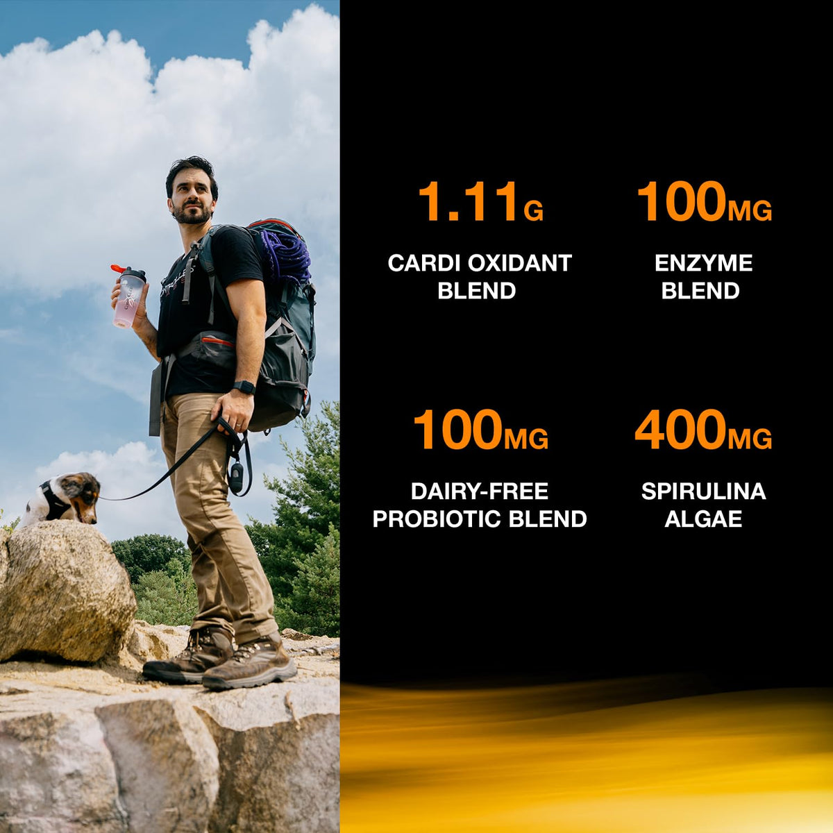 CONTROLLED LABS Orange OxiMega Greens 408g détails de l'emballage