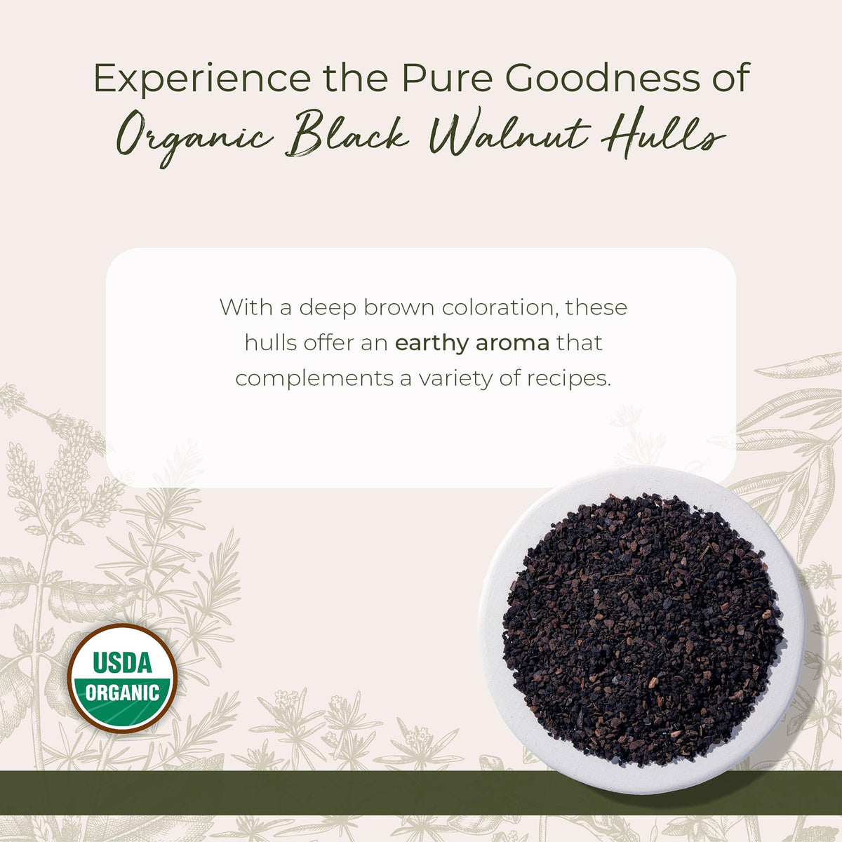 Coque de noix noire bio Starwest Botanicals vue de dos