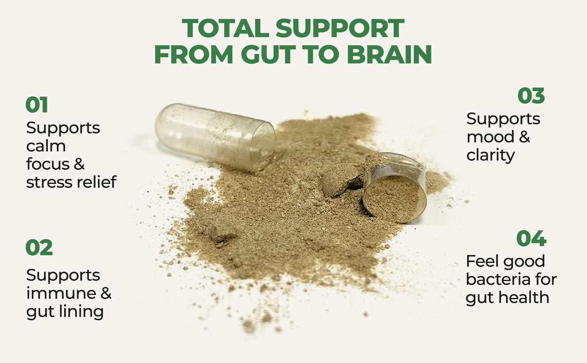 COREHEALTH Probiotique Synergie Cérébrale avec ingrédients