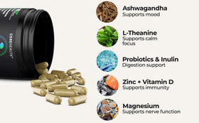 COREHEALTH Probiotique Synergie Cérébrale capsules arrière