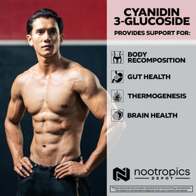 Côté du flacon de Nootropics Depot avec capsules