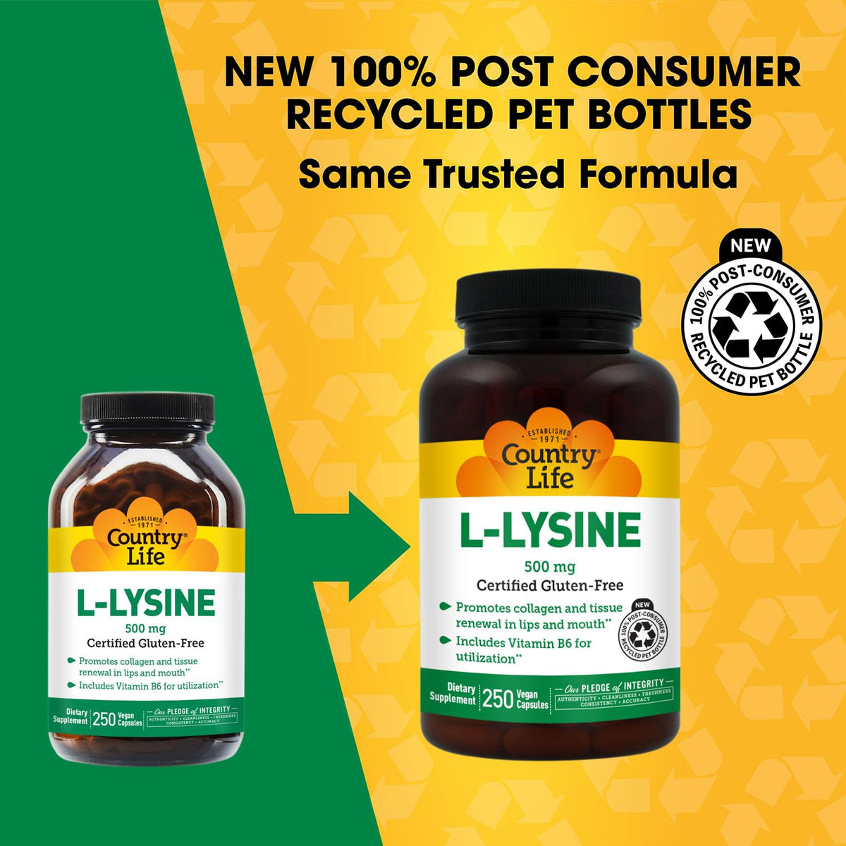 Country Life L-Lysine 500mg 250 capsules vegan vue arrière
