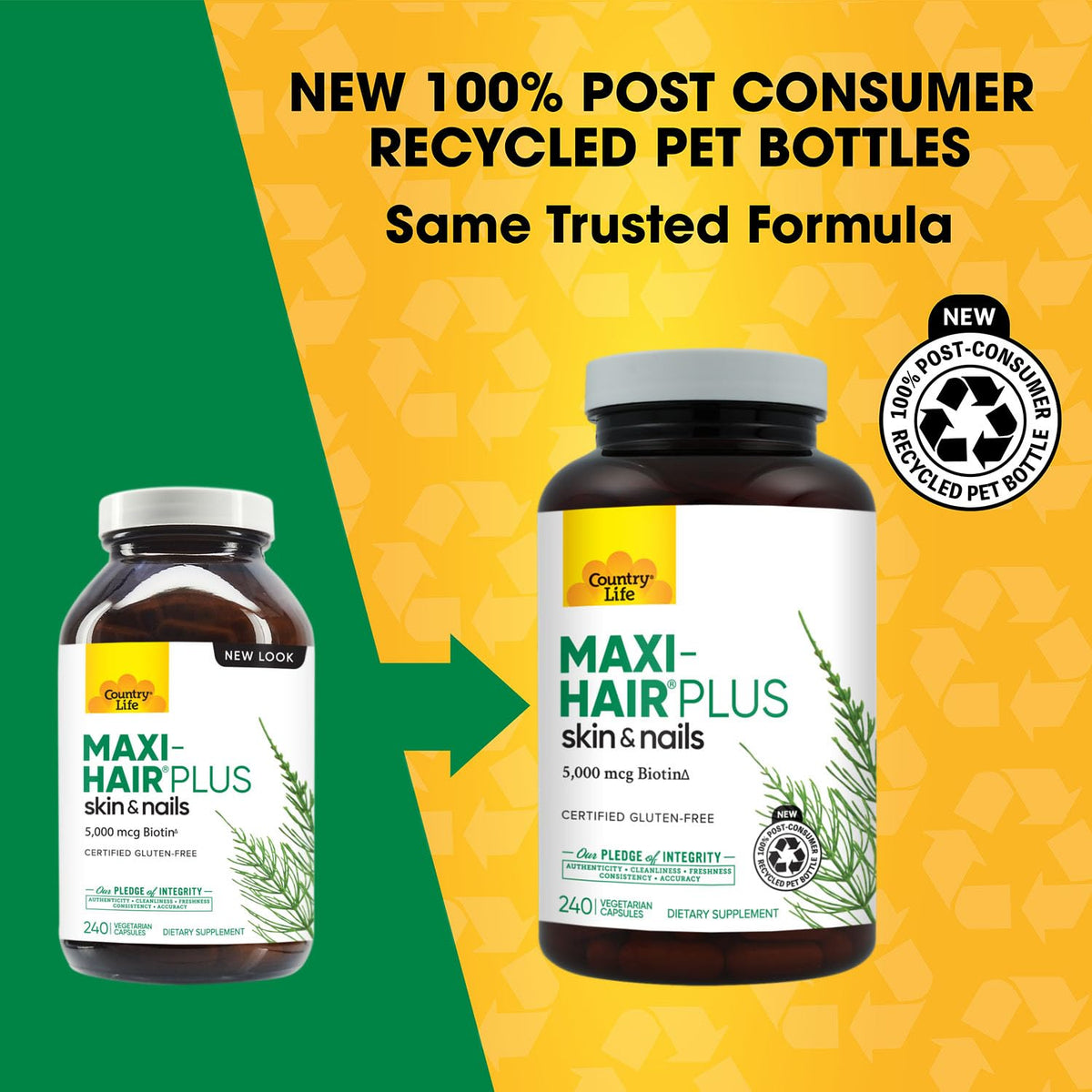Country Life Maxi-Hair Plus Biotine 5000 mcg gélules végétariennes arrière