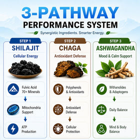 Coupe des Gummies Shilajit Santegra montrant leur texture