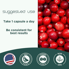 CranCap Complément Alimentaire Cranberry 180 Jours, présentation avec des fruits