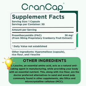 CranCap Complément Alimentaire Cranberry 180 Jours, vue de côté de la boîte
