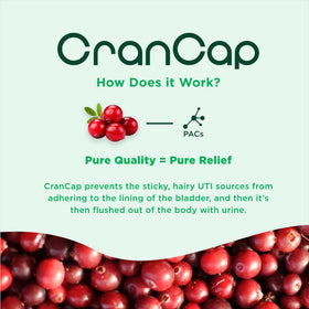 CranCap Complément Alimentaire Cranberry 36mg PACs - flacon ouvert avec capsules visibles