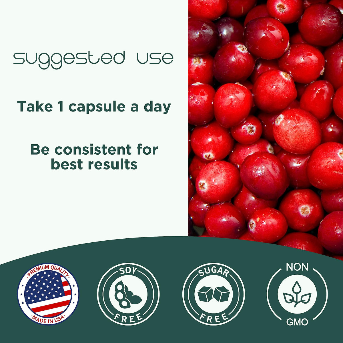 CranCap Compléments Alimentaires Cranberry avec des cranberries