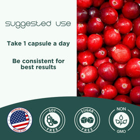 CranCap Compléments Alimentaires Cranberry avec des cranberries