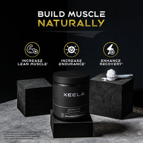 Créatine en poudre XEELA dans un shaker
