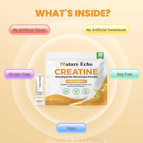 Créatine monohydrate Nature Echo avec équipements de fitness