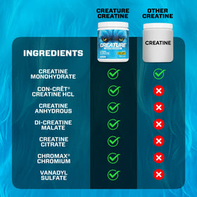 CREATURE Creatine Complex 300g nutritional information