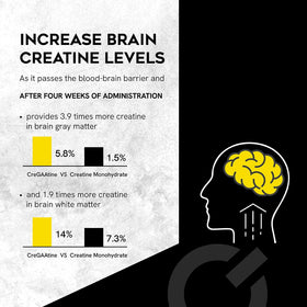 CreGAAtine Ultimate 500g échantillon dans un shaker