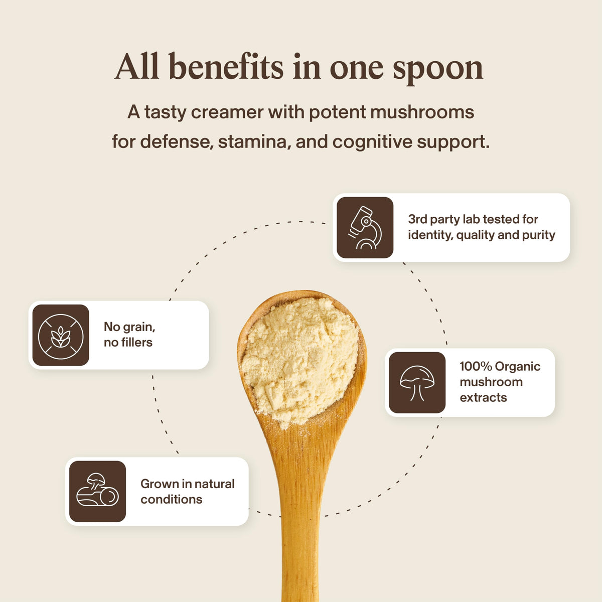 Crème de coco Real Mushrooms présentée avec des fruits