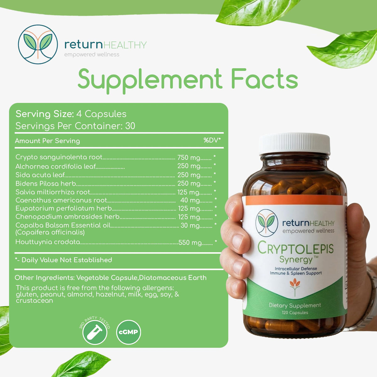 Cryptolepis Synergy Return Healthy sur un fond naturel