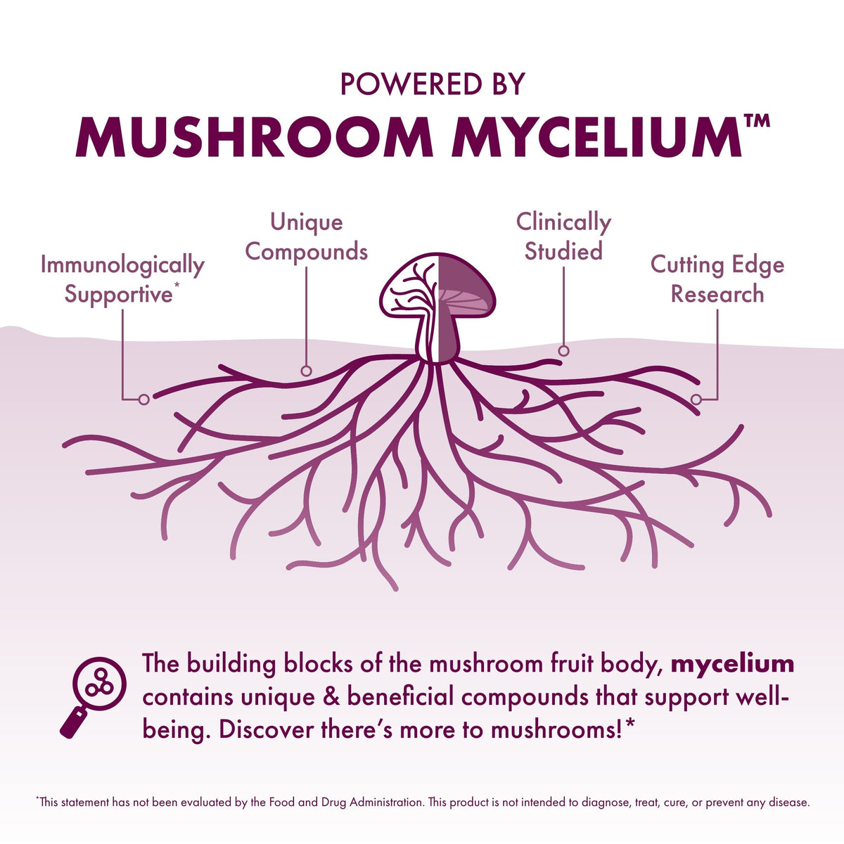 Cuillère avec de la poudre MycoBotanicals sur une table