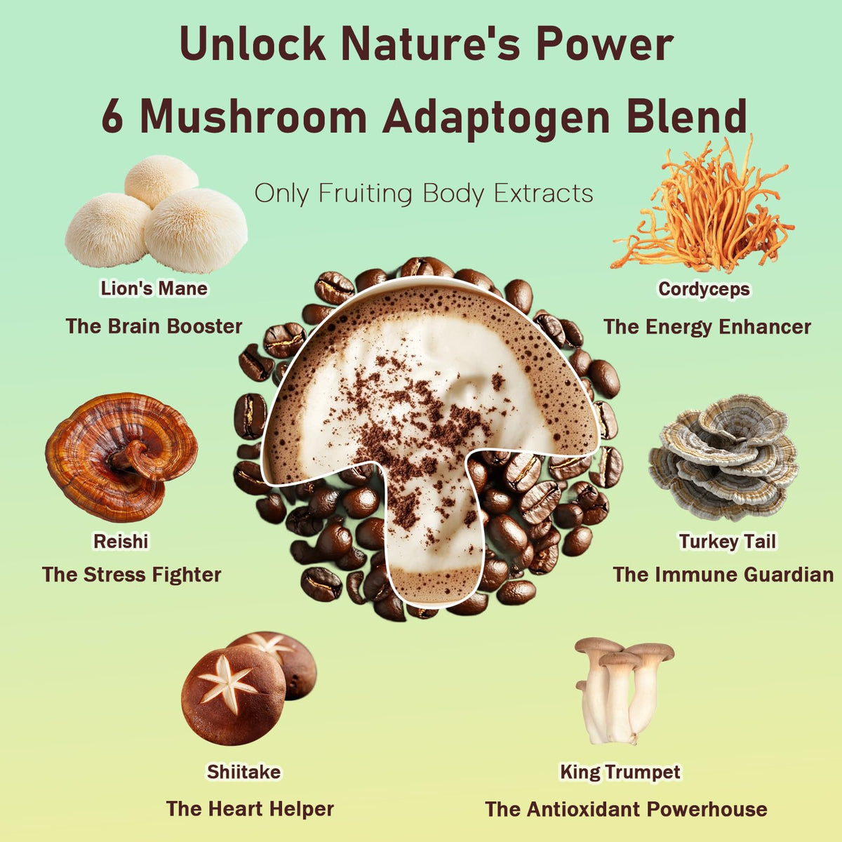 Cuillère de café aux champignons Daitea avec poudre