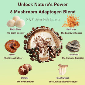 Cuillère de café aux champignons Daitea avec poudre