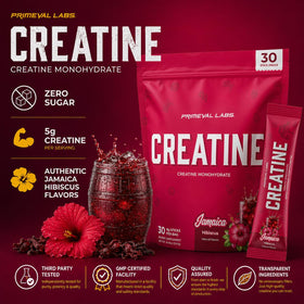 Cuillère de créatine monohydrate Primeval Labs avec poudre visible