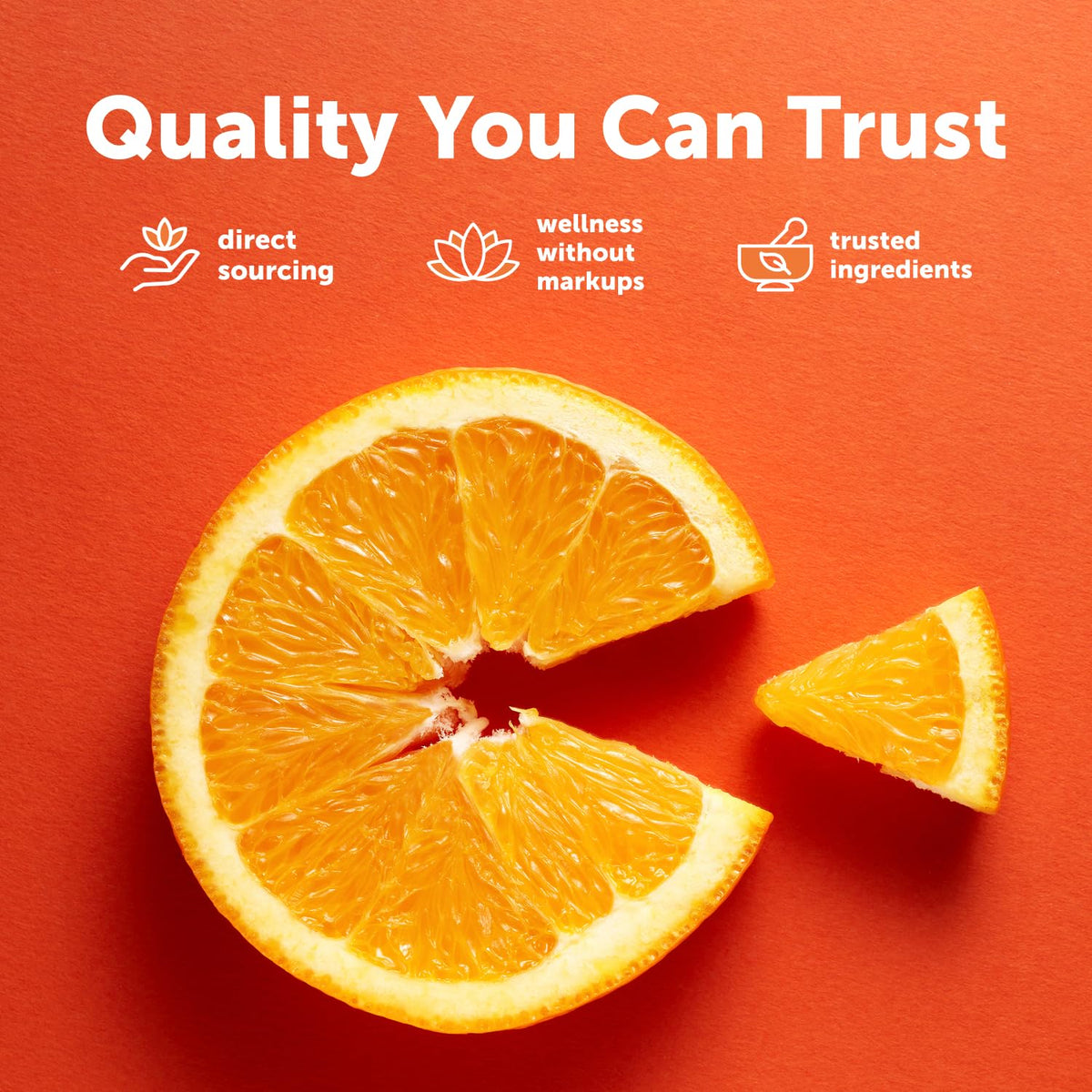 Cuillère de mesure pour poudre de vitamine C Micro Ingredients