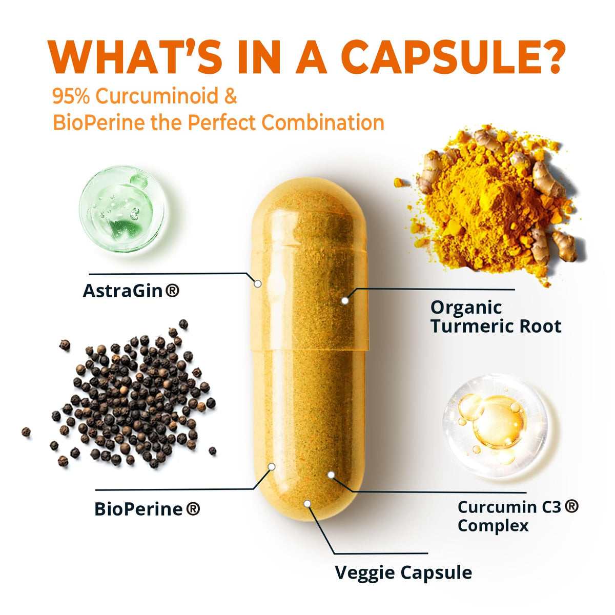 Curcuma Curcumin 1400mg de Divinity Nutra, détail des capsules