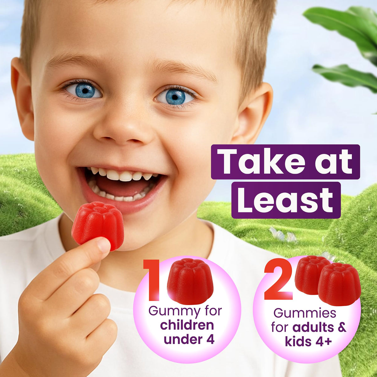 Cure24 Gummies au sureau, détails des ingrédients