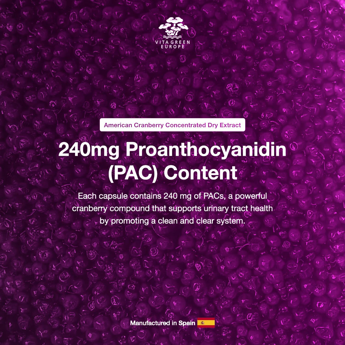 Cysticlean 240mg PAC Complément Alimentaire avec autres produits santé