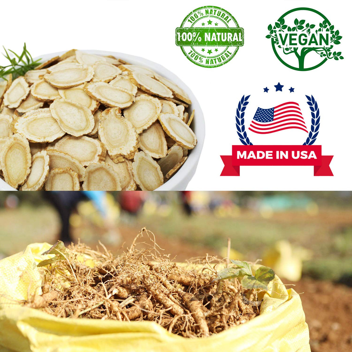 DABC OAK LAND Ginseng Américain en Tranches dimensions de l'emballage
