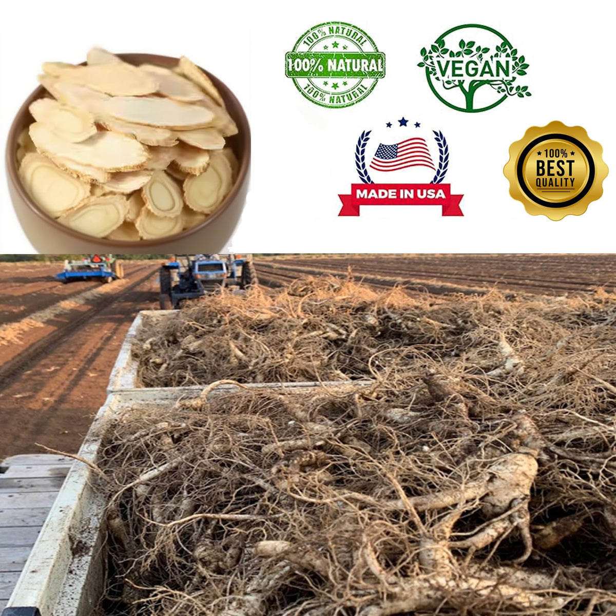DABC OAK LAND tranches de ginseng américain dans leur emballage