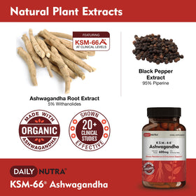 DailyNutra KSM-66 Ashwagandha 600mg capsules close-up