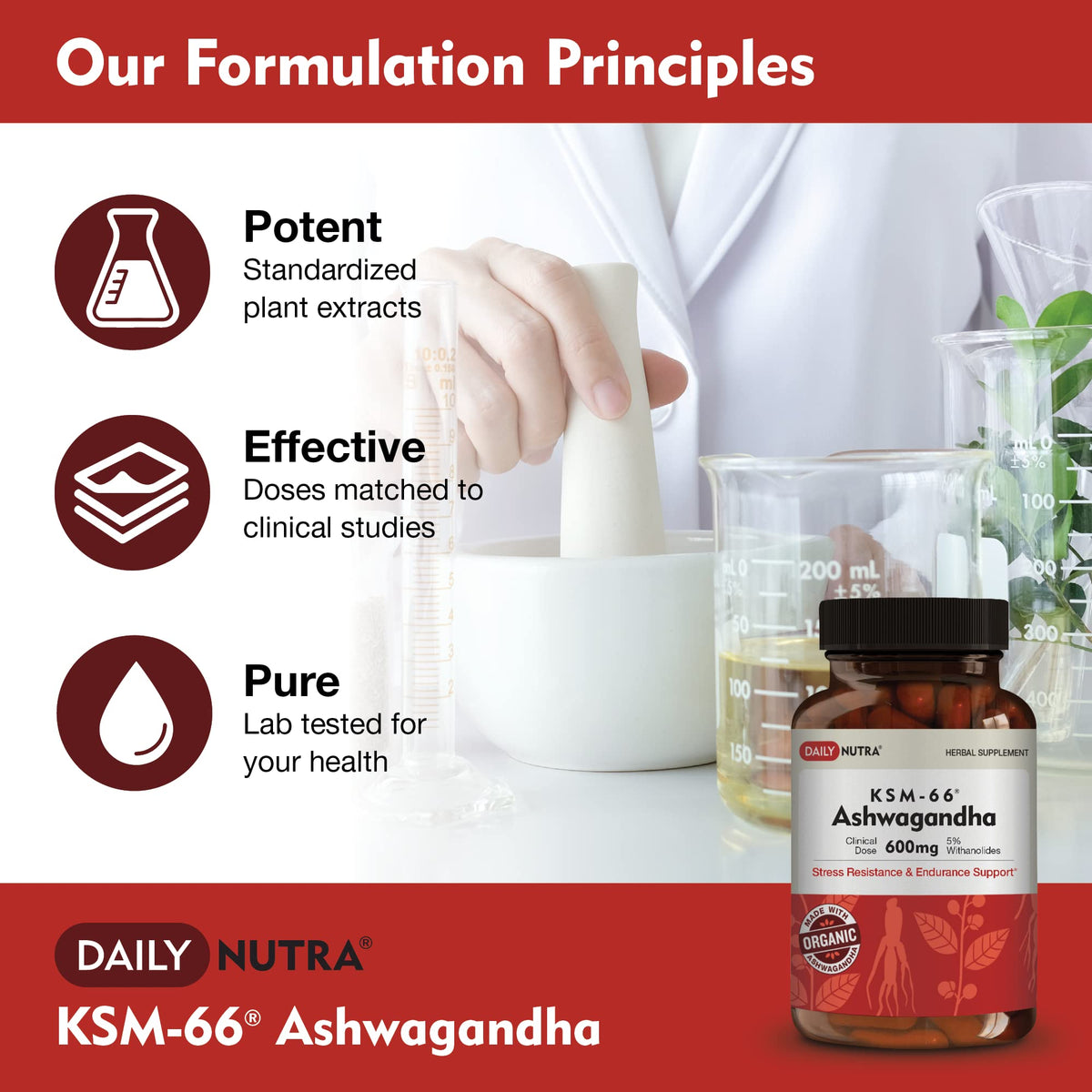 DailyNutra KSM-66 Ashwagandha 600mg capsules sur une table