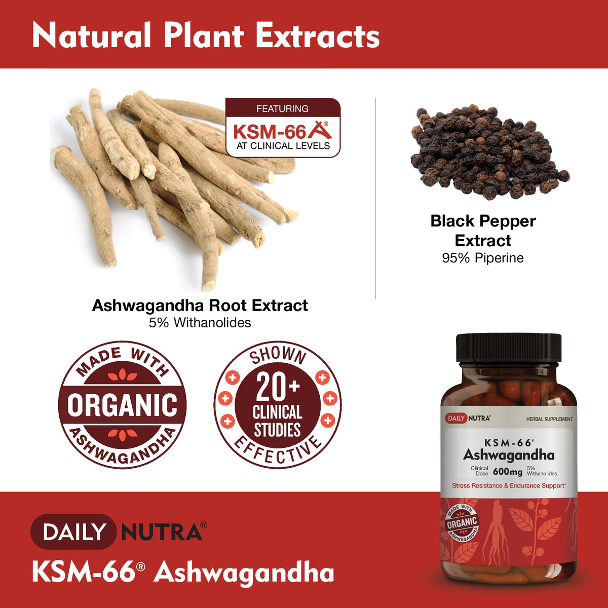 DailyNutra KSM-66 Ashwagandha 600mg dosage de 600mg par capsule
