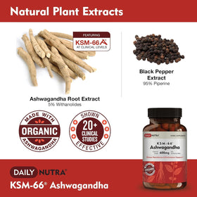 DailyNutra KSM-66 Ashwagandha 600mg packaging