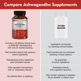 DailyNutra KSM-66 Ashwagandha 600mg vue de dessus des capsules